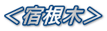 ＜宿根木＞