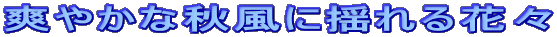 u₩ȏHɗhԁX 