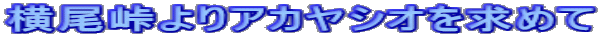AJVI߂