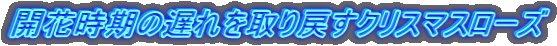 JԎ̒x߂NX}X[Y