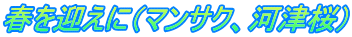 春を迎えに（マンサク、河津桜）