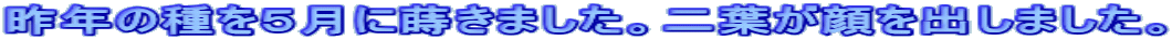 N̎TɎ܂Bto܂B 