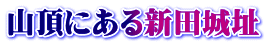 山頂にある新田城址