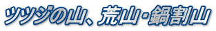 ツツジの山、荒山・鍋割山